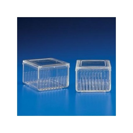 Jarra Horizontal Para Tincion De 10- 20 PORTAOBJETOS